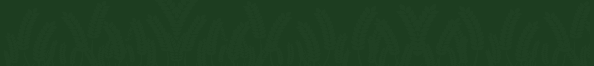 Green Background