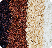 Over 100 Rice Mills Address Power Tariff Disparities