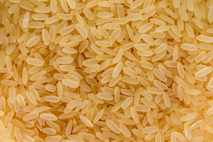 Modern Rice Processing in West Bengal